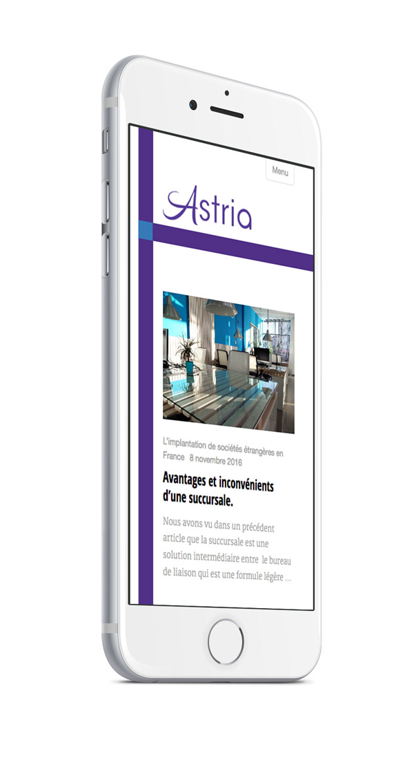 Responsive Wordpress Blog Design