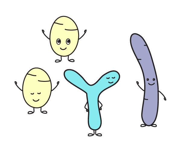 Illustrations mascottes